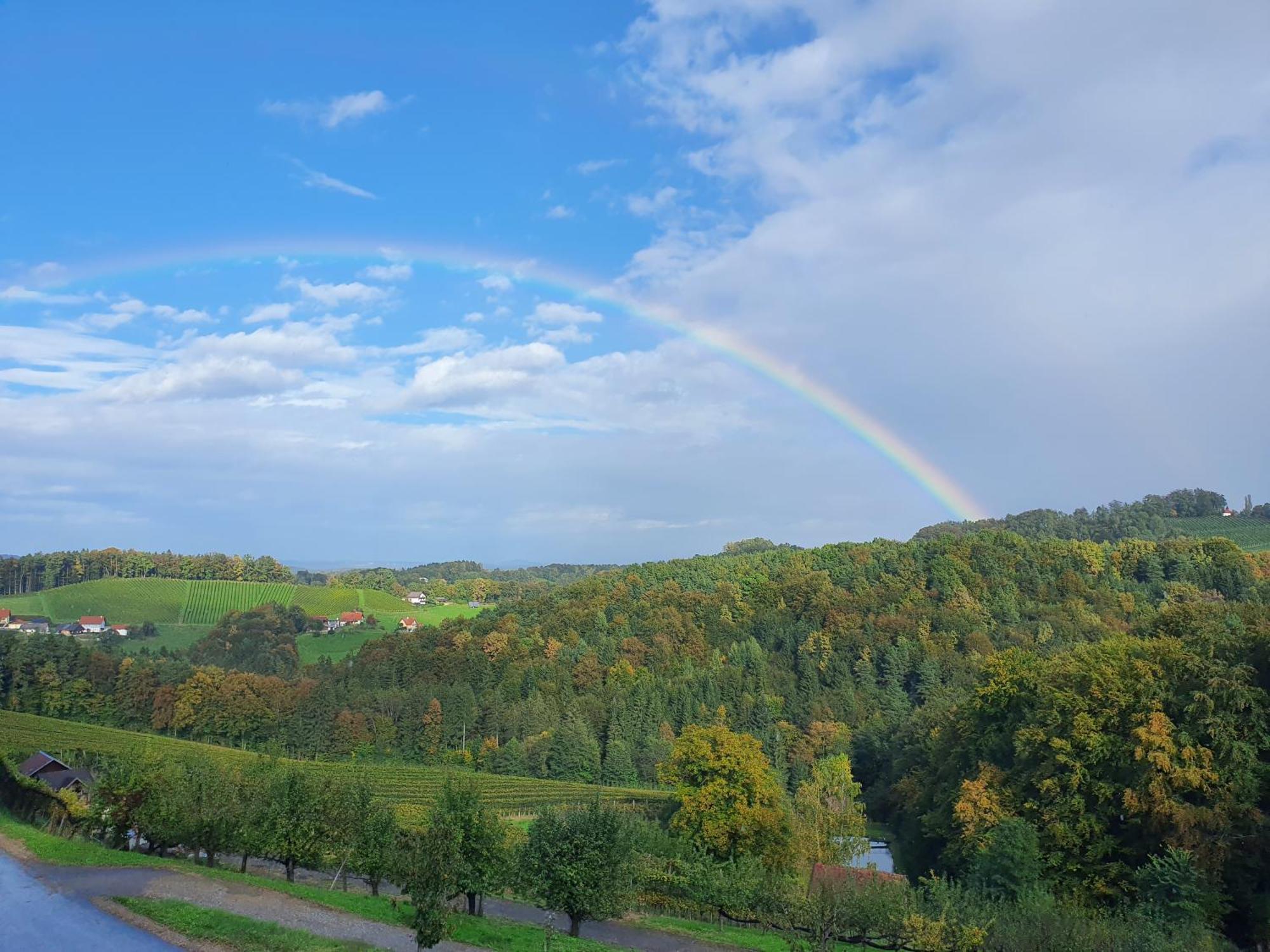 Weingut Pugl Apartamento Leibnitz Exterior foto
