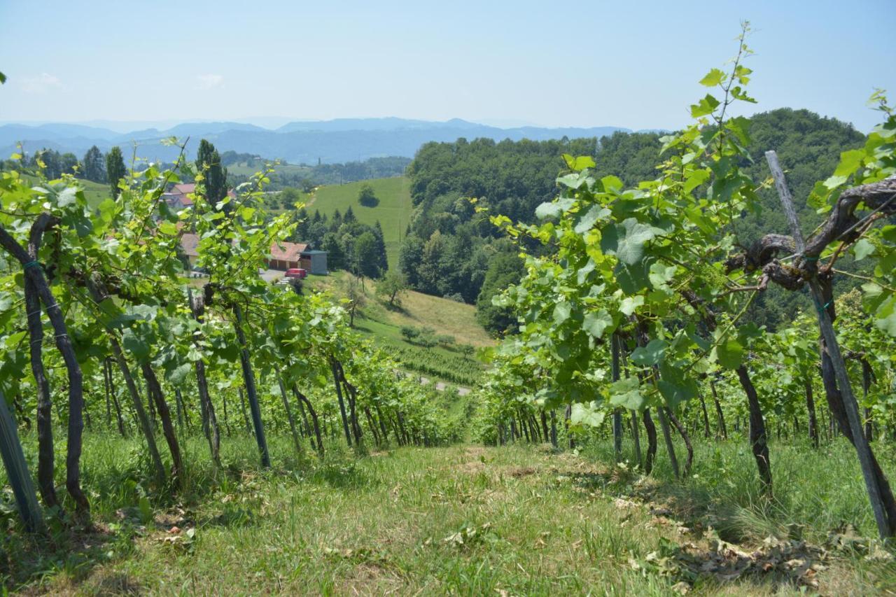 Weingut Pugl Apartamento Leibnitz Exterior foto